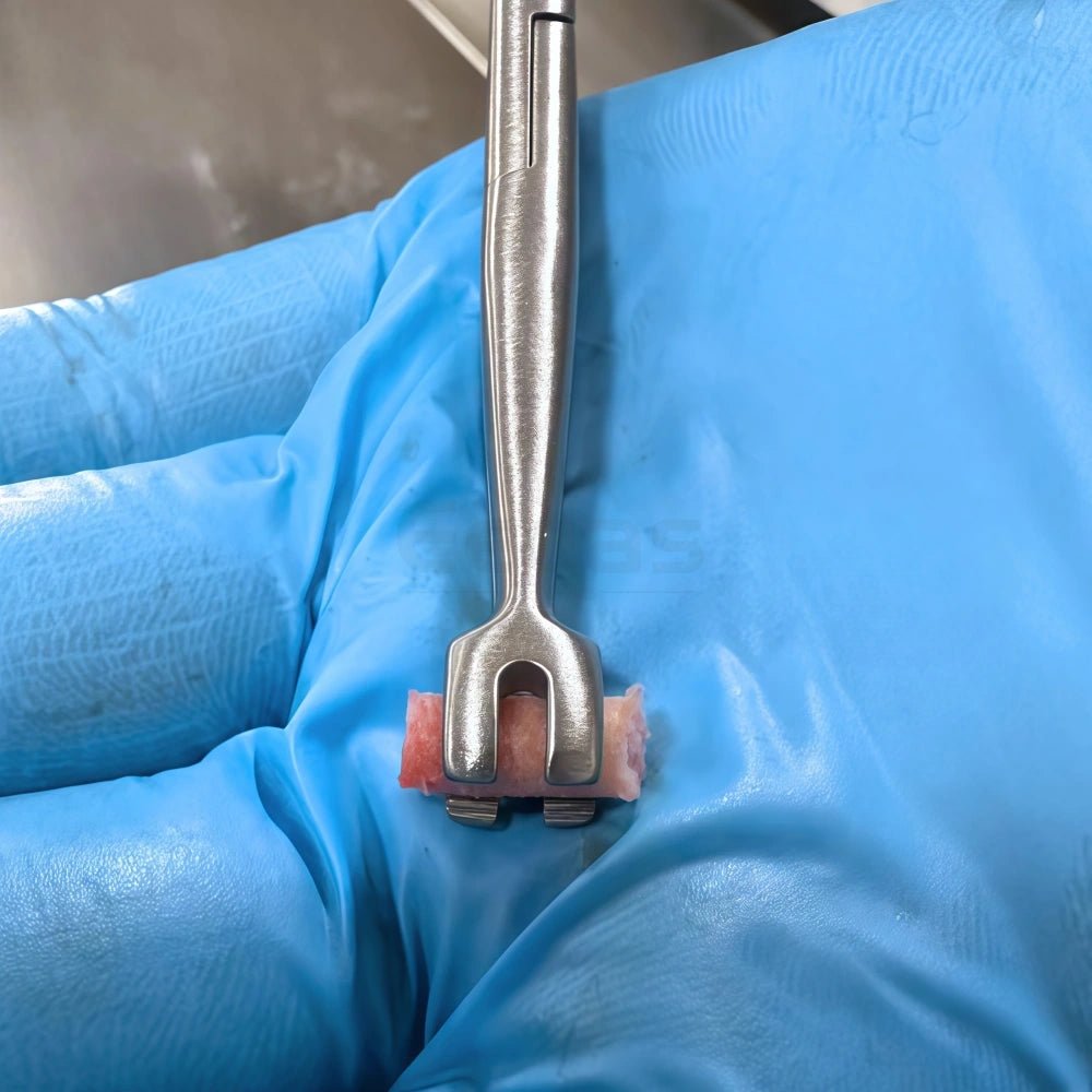 Cortical Bone Block Clamp Forceps - EEDAS Dental