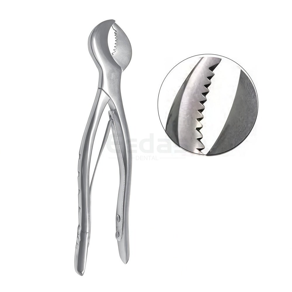 Dental Plaster Nipper - EEDAS Dental